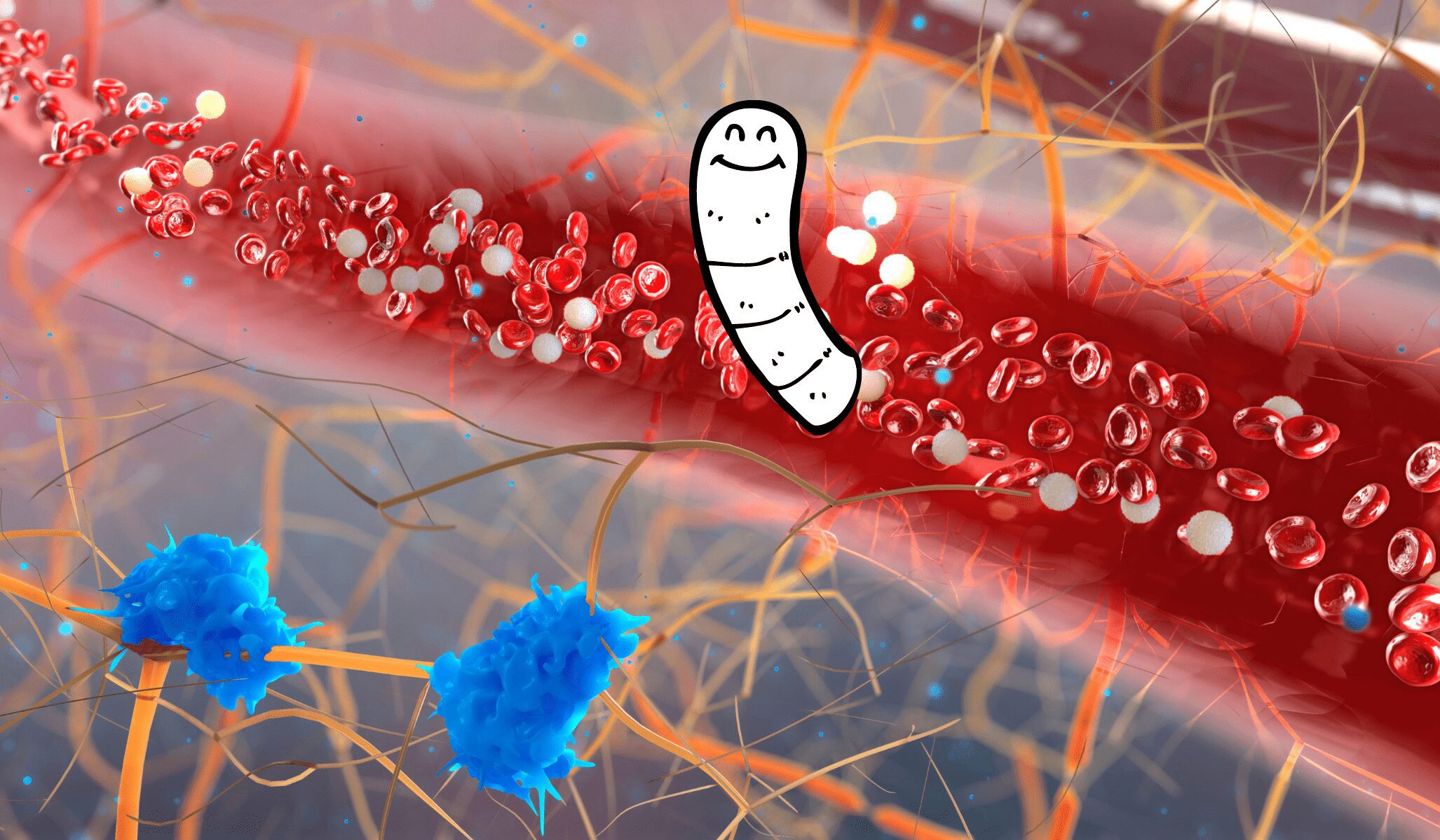 Dirofilaria immitis – Viermele cardiac