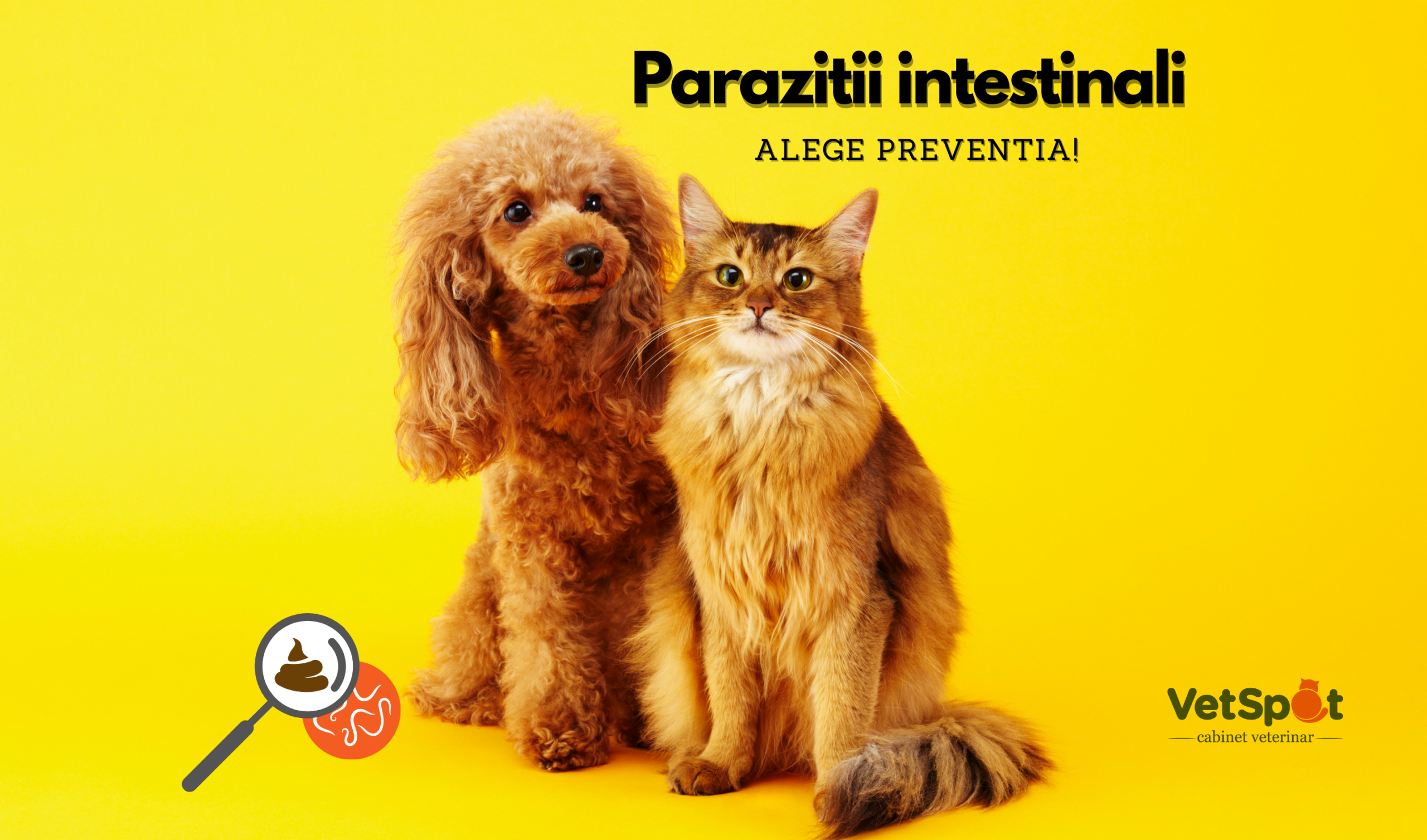 Parazitii intestinali