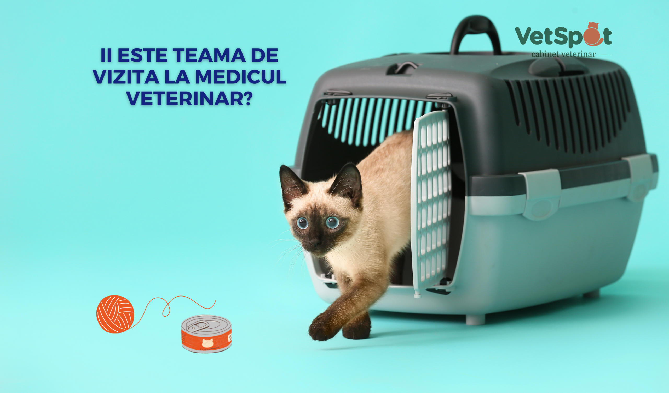 Ii este teama de vizita la medicul veterinar?
