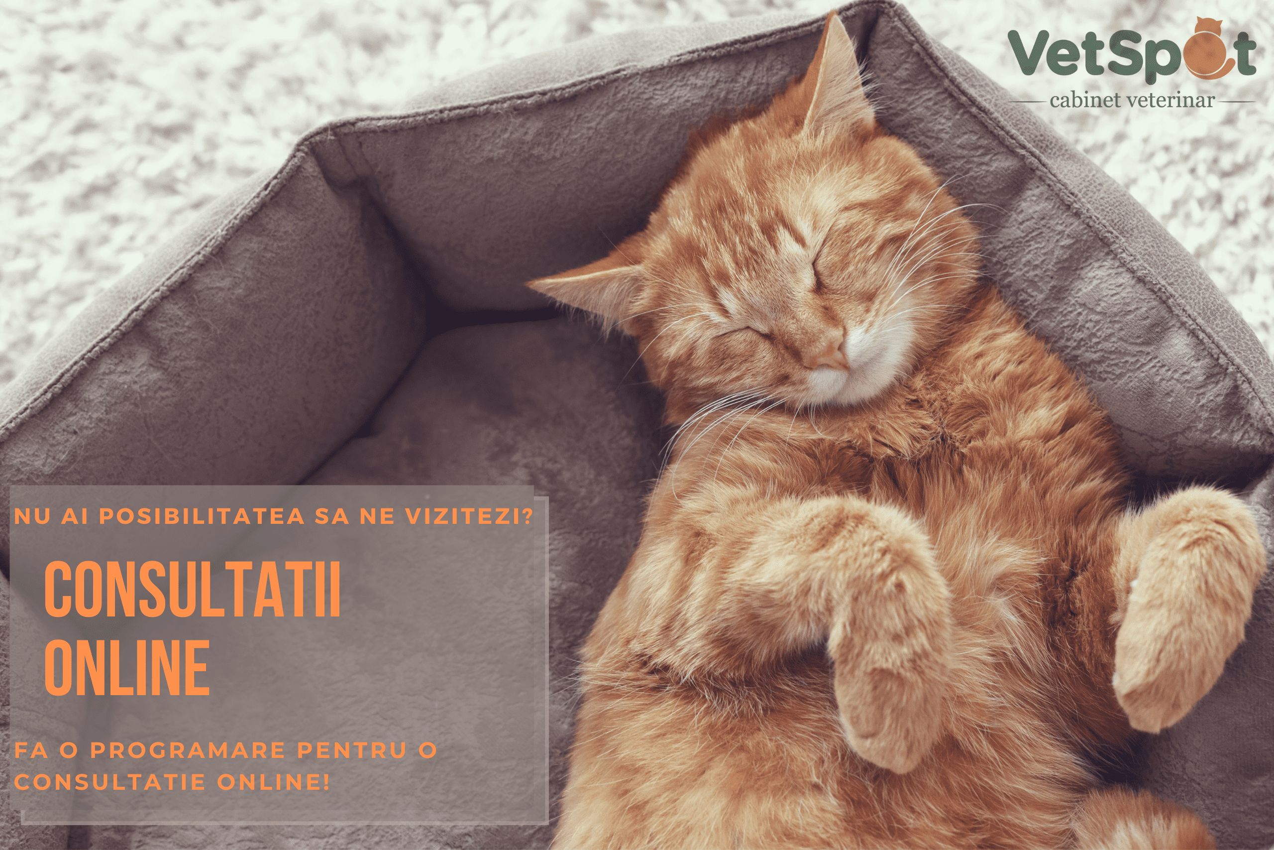 Consultatia online