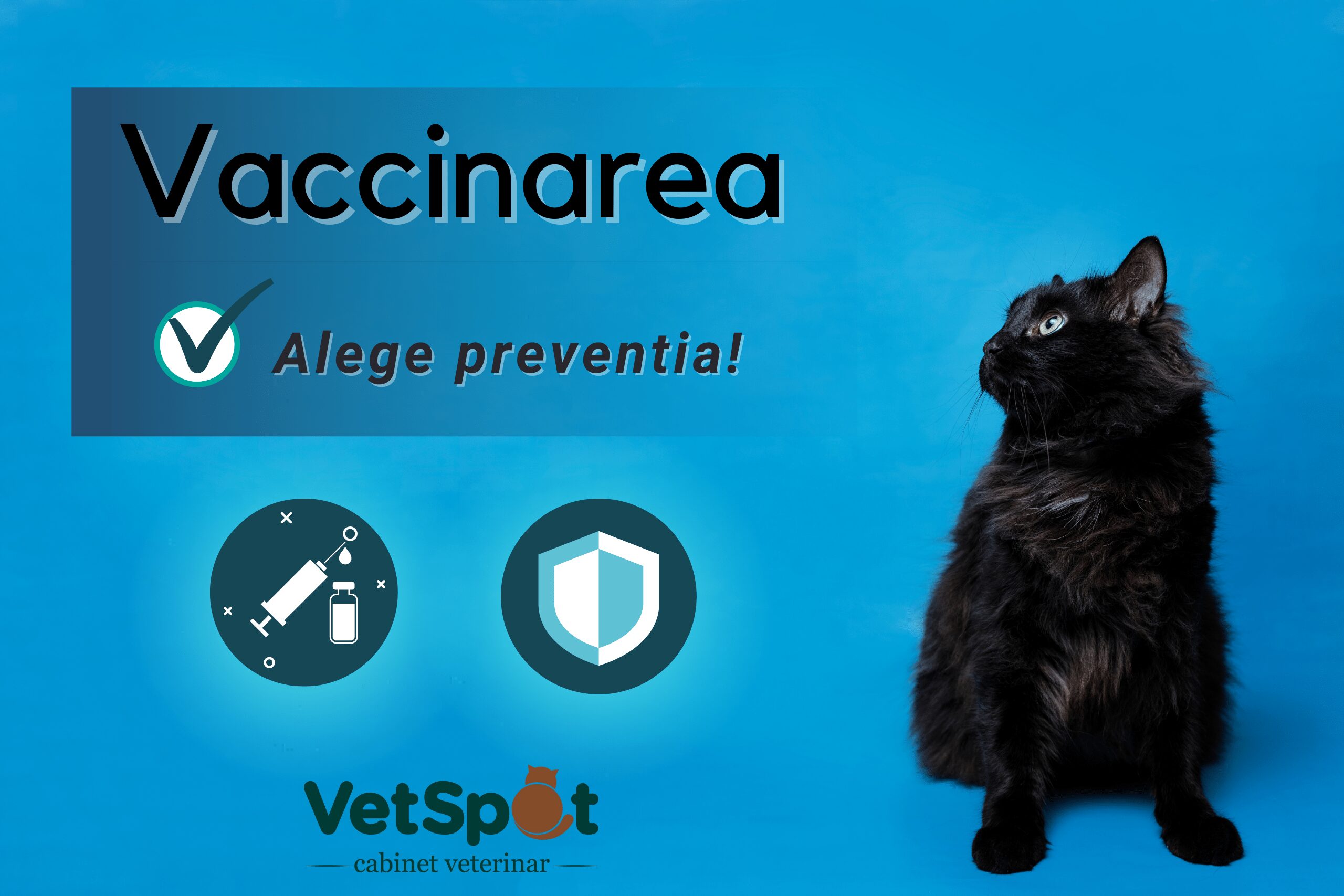 Vaccinarea pisicilor