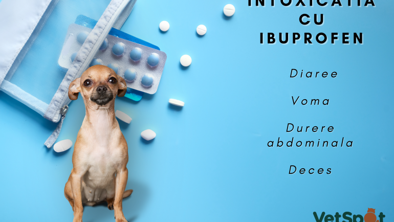 Intoxicatia cu ibuprofen (“Nurofen”) la caini