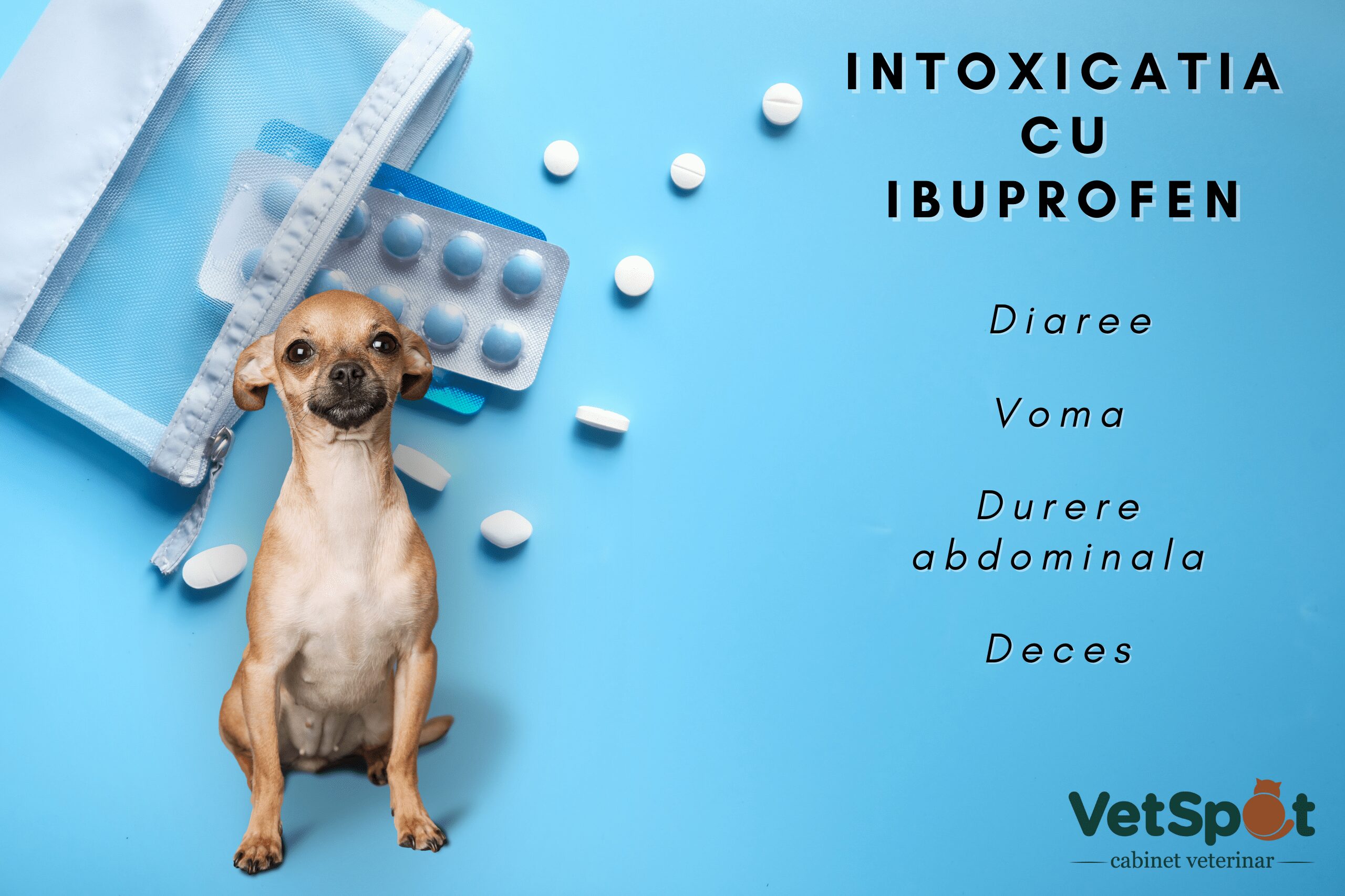 Intoxicatia cu ibuprofen (“Nurofen”) la caini